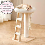 SHENGOCASE Round Cat Tree Tower Accessories Replacement Parts, Round Donut Cuddler Cat Dog Cushion Bed Add-ons for Plaform Perch Shelves (16")