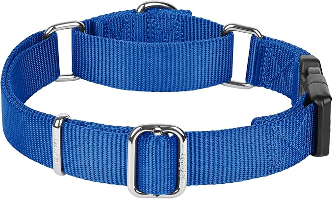 Martingale Collar for Dogs with Quick Release Buckle, Heavy-Duty Solid Color Nylon Training Collars - Adjustable No-Slip Design for Medium & Large Dog