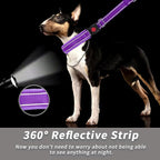 Martingale No Pull Dog Collar for Large Medium Small Dogs, Heavy Duty Nylon Reflective Adjustable Anti Pull Slip Collar with Buckle for Training Walking L Purple