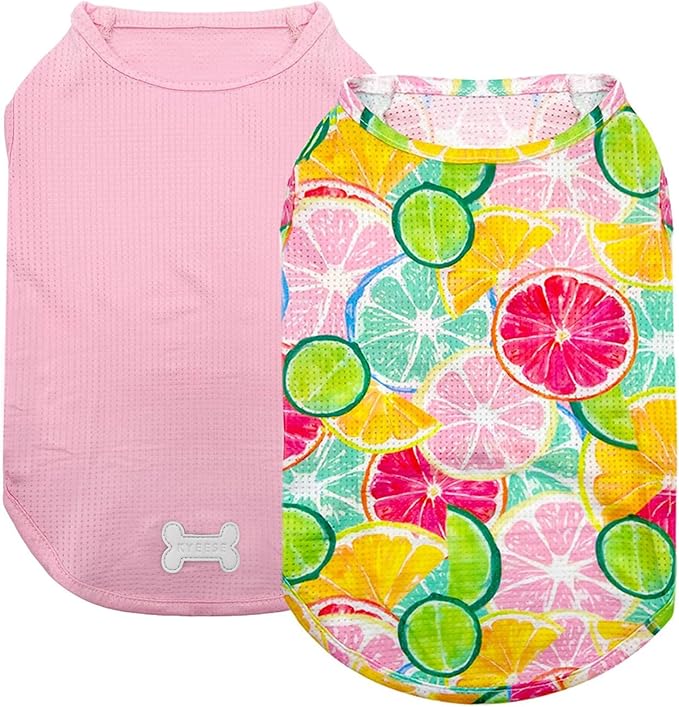 KYEESE 2Pack Dog Shirt, Lightweight Sun Protection Dog T Shirts for Small Dogs Girl, Breathable Mesh Tank Top Sleeveless Puppy Reflective Vest, Soft Summer Dogs Clothes, Lemon+Pink, S