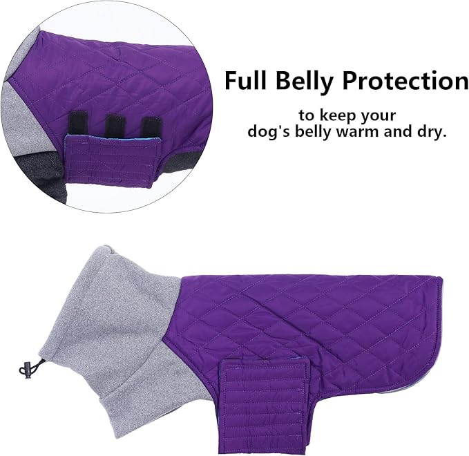 Geyecete Dachshund Coat,Dachshund Winter Coat,Warm Waterproof Windproof, High Neckine String Holes Miniature Dachshund Jacket for Small Dog-Purple-L