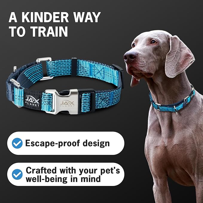 Blue Martingale Collar for Dogs - Heavy Duty Nylon Pet Collars for Escape-Free, No Pull Training & Walking with Alloy Metal Release Buckle & Reflective D Ring, One Time Adjustment, Safe & Secure, XL