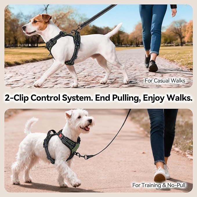 PHOEPET No Pull Dog Harness with Handle Front & Back Clip, Easy on Lockable Snap Buckle at Neck, Adjustable Reflective Vest with Handle for Small Medium Large Dogs (XS, Misty Green)