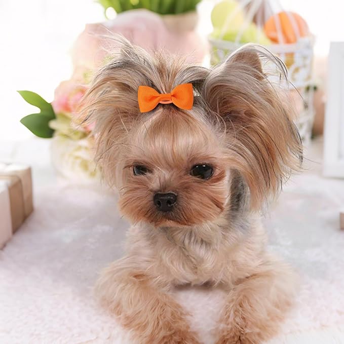 40PCS (20 Pairs) Dog Hair Bows with Rubber Bands, Puppy Dog Bows for Small Size Dog Girls, Mix Colors Dog Hair Ties, Dog Hair Accessories Girl for Daily Use Birthday(Type A)