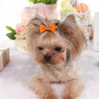 40PCS (20 Pairs) Dog Hair Bows with Rubber Bands, Puppy Dog Bows for Small Size Dog Girls, Mix Colors Dog Hair Ties, Dog Hair Accessories Girl for Daily Use Birthday(Type A)