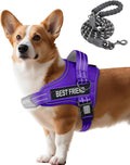 AUROTH Dog Harness and Leash Set, Soft Padded Service Dog Vest with 5.25FT Dog Leash, No Choke, Easy On Pet Vest, Adjustable Reflective No Pull Dog Harness Small Sized Dog, Easy Walking and Training