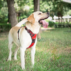 PoyPet No Pull Dog Harness, [Release on Neck] Reflective Adjustable No Choke Pet Vest with Front & Back 2 Leash Attachments, Soft Control Training Handle for Small Medium Large Dogs(Red,XS)