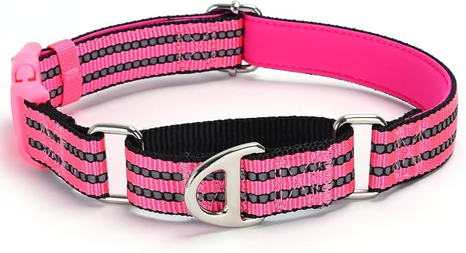 Martingale Collar for Dogs -Reflective Nylon Heavy Duty No Slip Choke Dog Collar with Padded Comfort Quick Release Buckle for Training, Walking & Overexcited Pulling Pink M