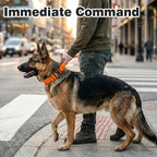Joytale Tactical Dog Collar for Large Dogs with Control Handle, Heavy Duty Military Training Collar for Power Breeds, AirTag Holder Case, Quick Release Metal Buckle, Soft Padded, L, Orange