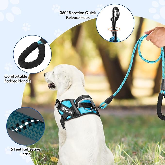 Service Dog Vest Harness and Leash Set, Animire in Training Dog Harness with 10 Dog Patches, Reflective Dog Leash with Soft Padded Handle for Dogs (Light Blue,Xs)