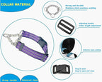 Martingale Collars for Dogs, Heavy Duty Stainless Steel Chain Training Collar, Reflective Nylon Adjustable Collar with Quick Release Buckle,Suitable for Puppy Medium Large Dogs((Purple, XS)