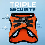 Best Pet Supplies Voyager Step-in Air All Weather Mesh Harness and Reflective Dog 5 ft Leash Combo with Neoprene Handle, for Small, Medium and Large Breed Puppies - Orange/Black Trim, Large