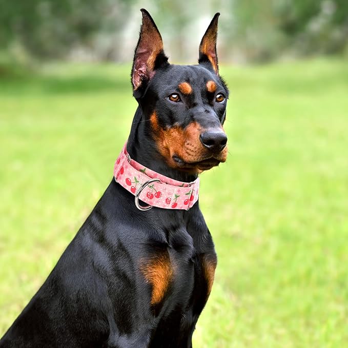 1.5 inch Wide Martingale Collar for Medium Dogs,Big Thick Dog CollarNo-Slip Escape Proof Choke No Pull Cinch for Male and Female Dogs for Training & Walking -Pink Cherry M