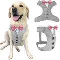 AVERYDAY Dog Tuxedo for Wedding Outfit, Dog Suit and Tie Costumes for Birthday, Halloween, Cosplay, Christmas Party, Pet Formal Wear with Bowtie, Tux for Medium Large Dogs, Bulldog, Labrador, Husky