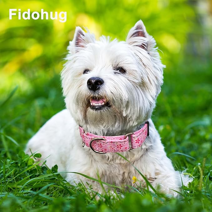 Reflective Martingale Collar for Dogs with Quick Release Buckle Cute Girl Female Flower Dog Collars (Pink Floral, Small)