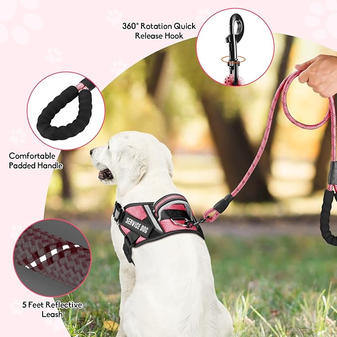 Service Dog Vest Harness and Leash Set, Animire in Training Dog Harness with 10 Dog Patches, Reflective Dog Leash with Soft Padded Handle for Small, Medium, Large, and Extra-Large Dogs (Rosy,M)