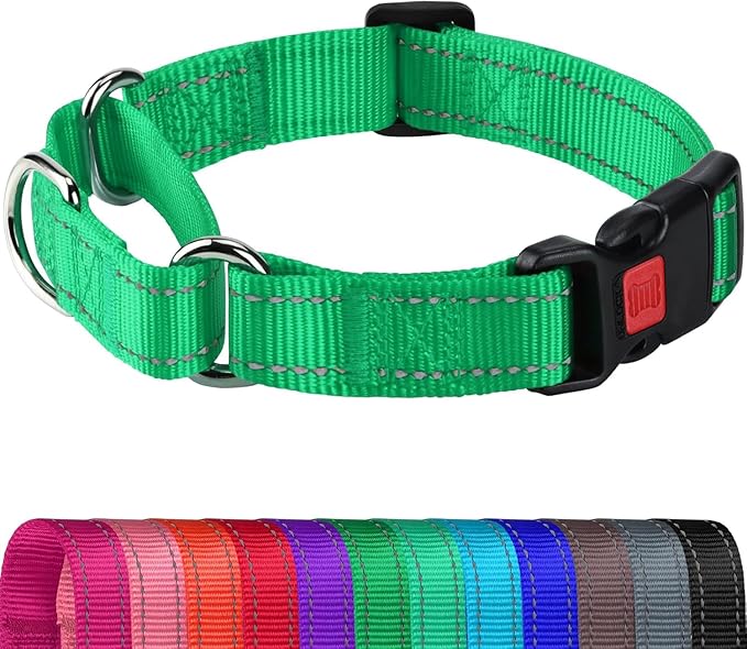 Joytale Martingale Collar for Dogs, Reflective Heavy Duty for Safety, Quick Release Buckle, Adjustable Nylon Collars for Small Dogs Walking Training, Green,S