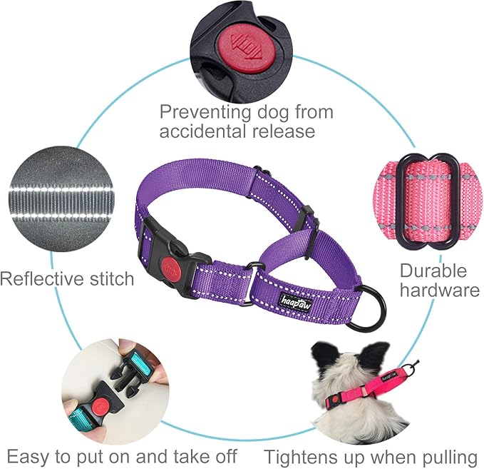 haapaw 2 Packs Martingale Dog Collar with Quick Release Buckle Reflective Dog Training Collars for Small Medium Large Dogs (Small, Purple/Purple)