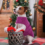 Queenmore Large Dog Sweaters, Soft Fleece Vest Pullover Dog Jacket with Leash Hole, Warm Winter Dogs Clothes Cold Weather Doggy Dachshund Sweater for Large Dogs Cats Boy or Girl (Cationic Berry, L)