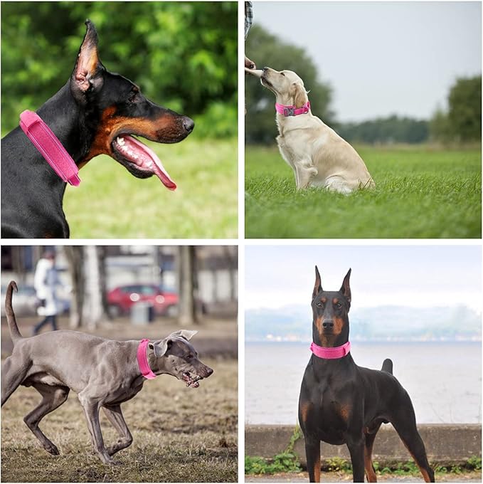 Tactical Dog Collar with Heavy Duty Metal Buckle and Control Handle for Medium Large Dogs Training(Pink, Medium)