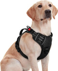 rabbitgoo Dog Harness Medium Sized, No Pull Pet Harness with Soft Padded Handle, Adjustable Reflective Vest with 3 Buckles, Easy Walking Harness with 2 Leash Clips, Black, M
