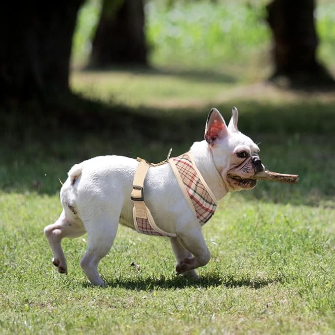 PUPTECK Soft Mesh Dog Harness and Leash Set Pet Puppy Cat Comfort Padded Vest No Pull Harnesses, Khaki, XS