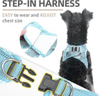 PUPTECK Dog Harness and Leash Set for Small Medium Dogs No Pull Step-in Soft Mesh Puppy Cat Vest Harnesses Reflective at Night, Sky Blue, M
