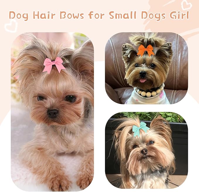 40PCS (20 Pairs) Dog Hair Bows with Rubber Bands, Puppy Bows for Small Size Pet Girls, Mix Colors Hair Ties, Dog Hair Accessories Girl for Daily Use Birthday(Type B)