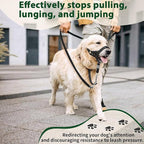 BARKLESS Sturdy No Pull Head Collar for Medium Large Dogs, Gentle Reflective Head Halter with Safety Link, Adjustable Nylon Dog Training Muzzle Leash for Walking Control (Green, M)