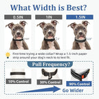 Mayerzon 1.5" Wide Martingale Collar for Large Medium Small Dogs Pitbull German Shepherd, No Pull Reflective Slip & Martingale Dog Collar with Buckle Soft Padded for Walking Training(Seattle Haze, XL)
