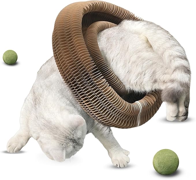 New Mint Ball Cat Scratching Board Toy, Upgrade Magnetic Interactive Kitty Toy, Shape Shifting Cardboard Cats Toys for Entertaining, Magic Organ Cat Scratcher Pads for Indoor Cats (2 pcs)