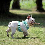 PUPTECK Soft Mesh Dog Harness and Leash Set Pet Puppy Cat Comfort Padded Vest No Pull Harnesses, Green, S