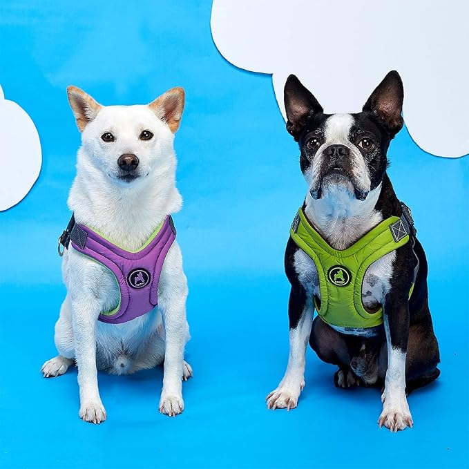 Gooby, Medium Green Memory Foam Escape Free Harness with 4-Point Adjustment for Small Dogs