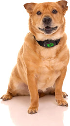 Non-Shock Luxury Bark Collar-Adjustable Fit, No Shock for Small,Medium,Large Dogs, Advanced Technology with Remote, Automatic Bark Collar, Rechargeable, Dog Training, Anti-Barking, Soft Velvet,Black