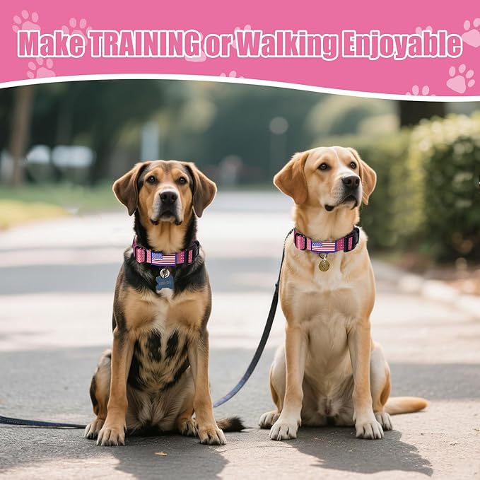 Martingale Dog Collar, Reflective No Pull Training Collar with Quick Release Buckle & USA Flag, Heavy-Duty Nylon, Adjustable for Small Medium Large Dogs (M,Pink with Flag
