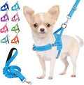 Lukovee No Pull Dog Harness and Leash Set, Soft Padded Small Dog Harness, Neck & Chest Adjustable Reflective Vest Puppy Harness with 4ft Lightweight Anti-Twist Dog Leash for Small Dogs (LBL, XXS)