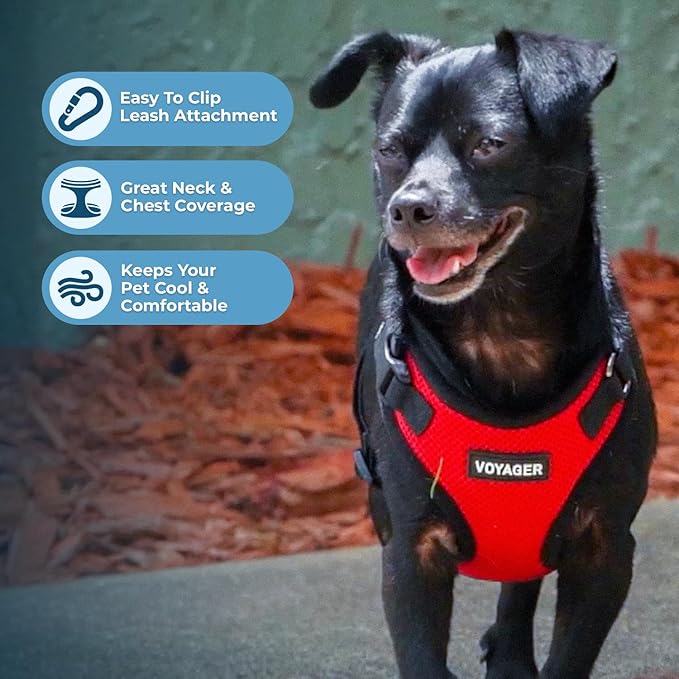 Voyager Step-in Pet Harness - All Weather Mesh, Adjustable Step in Harness for Cats and Dogs by Best Pet Supplies - Red/Black Trim, L