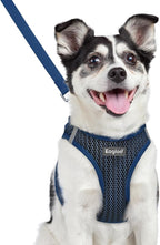 Eagloo Small Dog Harness and Leash Set, Step in Puppy Vest with Breathable Soft Mesh, Walking Reflective Pet Harness for Medium Small Dogs, Navy Blue, L