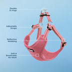 Best Pet Supplies Voyager Adjustable Step-in Flex Breathable Mesh Dog Harness for Small Medium Large Dogs (Pink), L