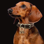 Copper Bells for Dog Collars with Snap Clips - Dog Bells to Go Outside,Made of Pure Copper for Dogs/Cat - Clear Sound & No Rust - Know Where Your Pet
