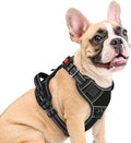 Eagloo Dog Harness Medium Sized, Easy Wearing with 3 Quick-Release Buckles, Adjustable No Pull Pet Harness with MOLLE System, No Choke Reflective Vest with Control Handle, Black, M