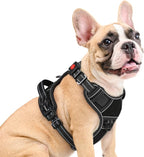 Eagloo Dog Harness Medium Sized, Easy Wearing with 3 Quick-Release Buckles, Adjustable No Pull Pet Harness with MOLLE System, No Choke Reflective Vest with Control Handle, Black, M