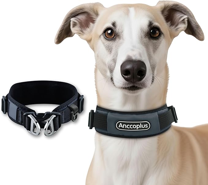 Comfort Fit Dog Collar, Anti-Choke Neck Safe Dog Training Collar, Wide Padded, Breathable, Adjustable with Dual D-Rings, Soft Cushion Neck Protector for Dogs (M, Gray)