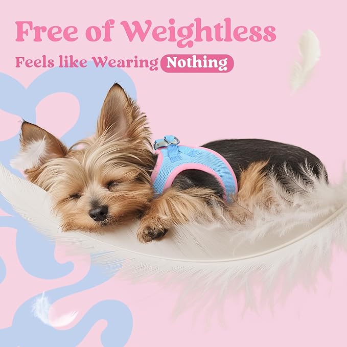 rabbitgoo Small Dog Harness, Step-in Soft Mesh Puppy Vest with Safety Buckle, Breathable Reflective Pet Harness for Small Sized Dogs, Blue & Light Pink M