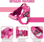 AUROTH Dog Harness and Leash Set, Soft Padded Service Dog Vest with 5.25FT Dog Leash, No Choke, Easy On Pet Vest, Adjustable Reflective No Pull Dog Harness for Large Dogs, Easy Walking and Training