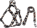 QQPETS Dog Harness Leash Set Adjustable Heavy Duty No Pull Halter Harnesses for Small Medium Large Breed Dogs Back Clip Anti-Twist Perfect for Walking (M(19"-26" Chest Girth), White Daisy)