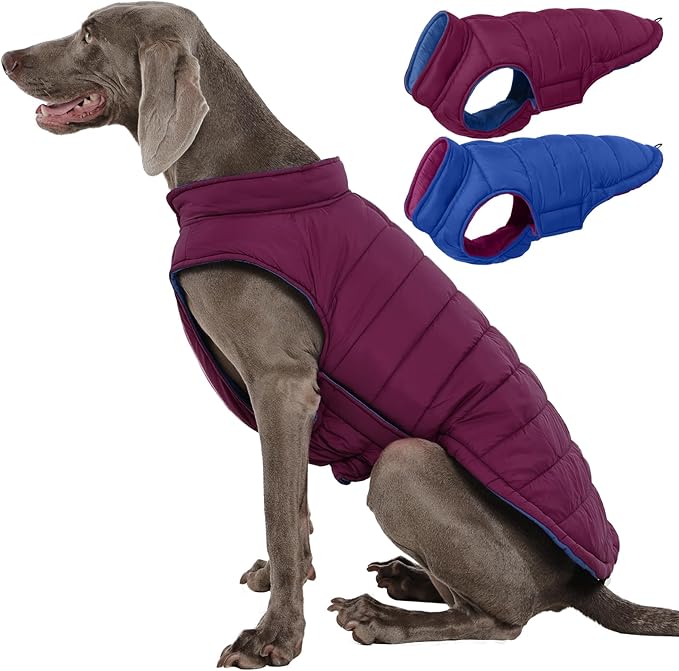QBLEEV Reversible Dog Winter Coat, Waterproof Windproof Dog Jacket with Adjustable Fit & Leash Hole, Lightweight Warm Puffer Vest for Large Breeds, Purple, 2XL – Fits Labrador, Husky, Weimaraner