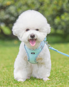 Petank Dog Harness for Small Medium Dogs No Pull, Puppy Harness and Leash Set,Step in Dog Harness for Walking, Running, Training, Small Dog Vest(Light Blue, XXS)