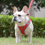 Mercano Soft Mesh Dog Harness and Leash Set, No-Chock Step-in Reflective Breathable Lightweight Easy Walk Vest Harnesses with Safety Buckle for Small Dogs, Cats (Red, XL)