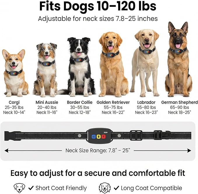 Remote Dog Training Collar for 10–120lbs Dogs – 3300ft Range, Beep, Vibration & Safe Shock Modes, IP67 Waterproof, Rechargeable for Obedience & Recall Training